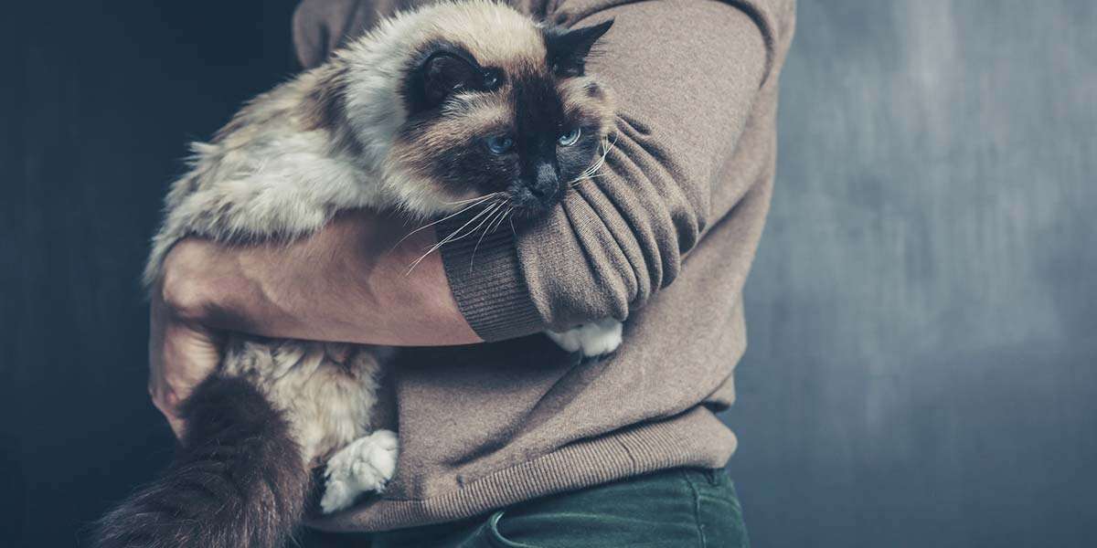 7 pozitivních zpráv, které vám v době koronavirové zlepší náladu 5 7 pozitivních zpráv