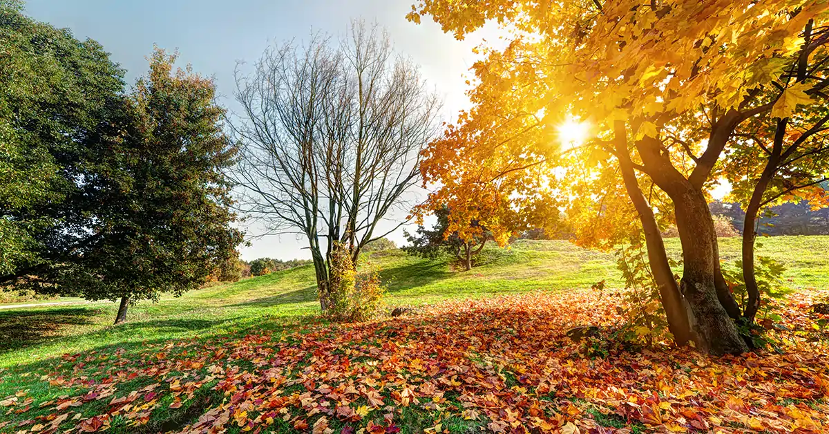 10 důvodů, proč můžeme mít rádi podzim 6